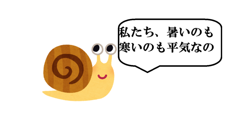 カタツムリは暑さ寒さに強い