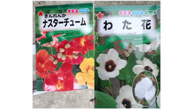 ナスタチウムと綿の種