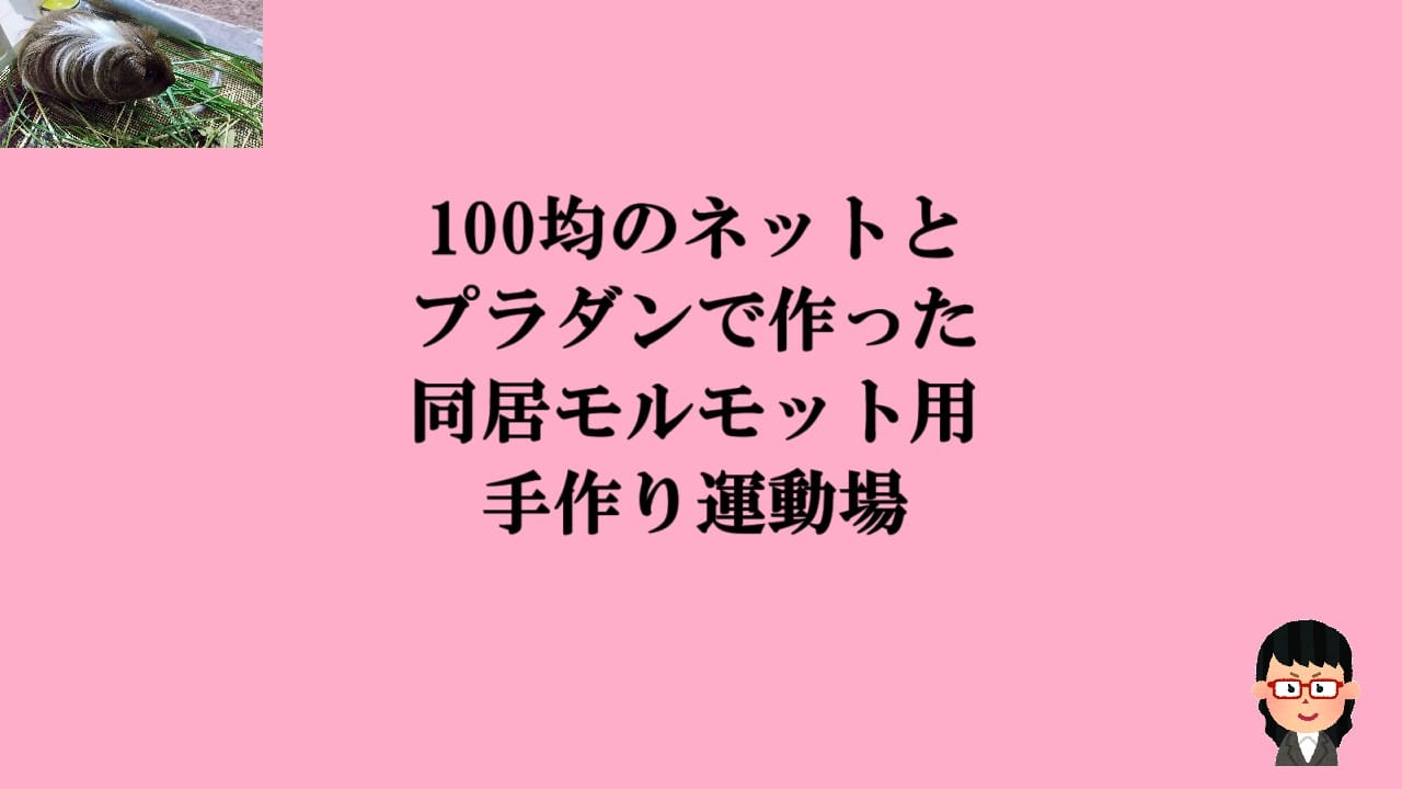 100均のネットとプラダンで作った同居モルモット用手作り運動場
