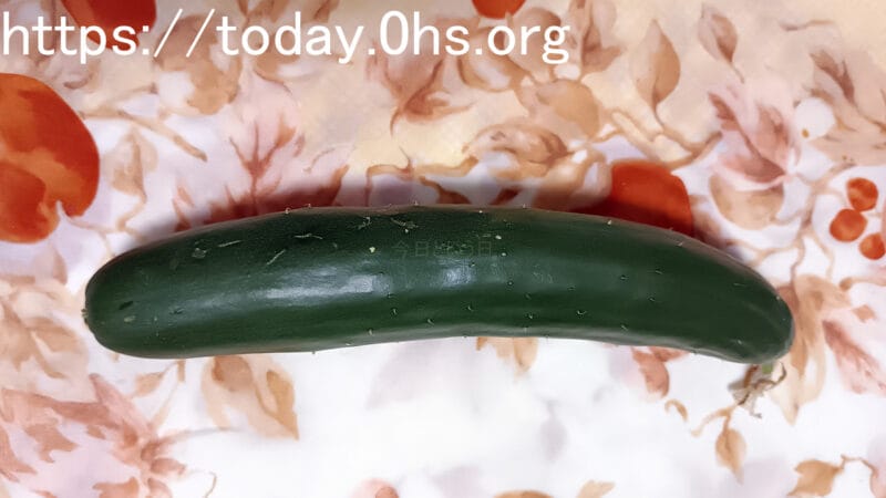 収穫物のきゅうり庭でとれた人参食べられる庭（ポタジェ）を目指すお庭事情