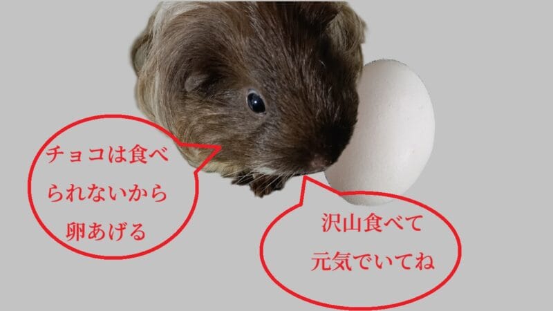 たまごあげるよ。元気でいてね。