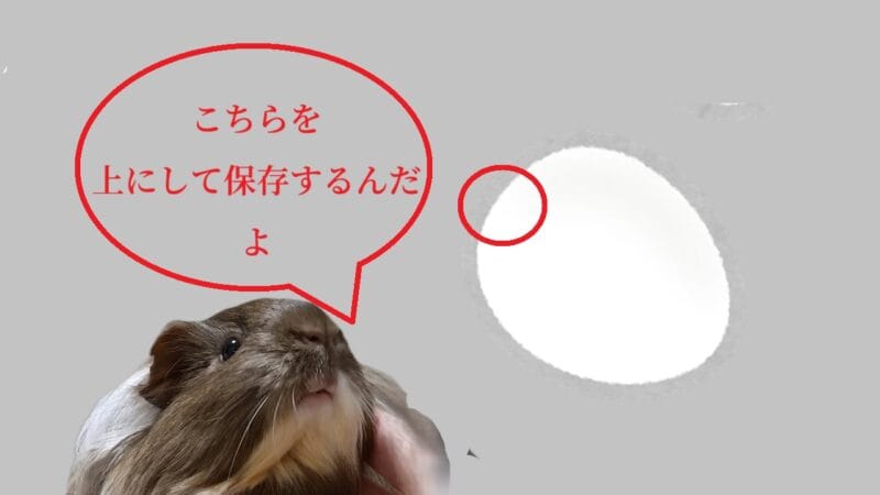 卵は丸いほうを上にして保存するんだよ