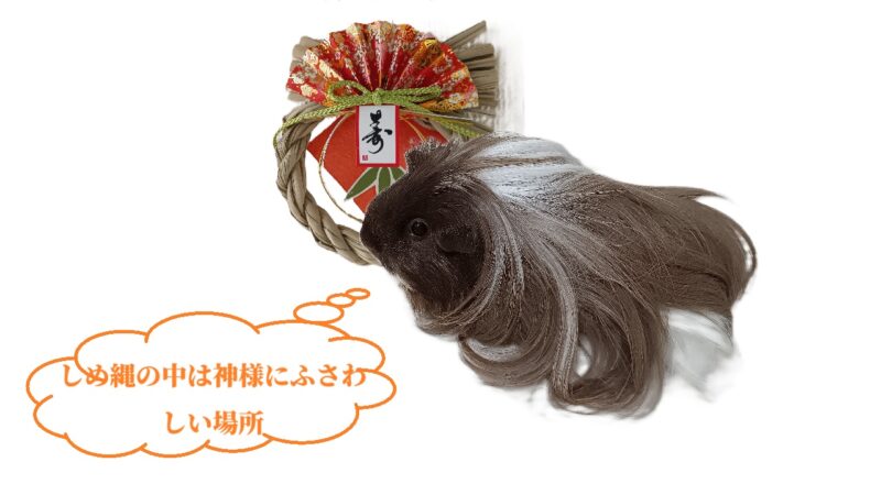 しめ縄の中は神様にふさわしい場所