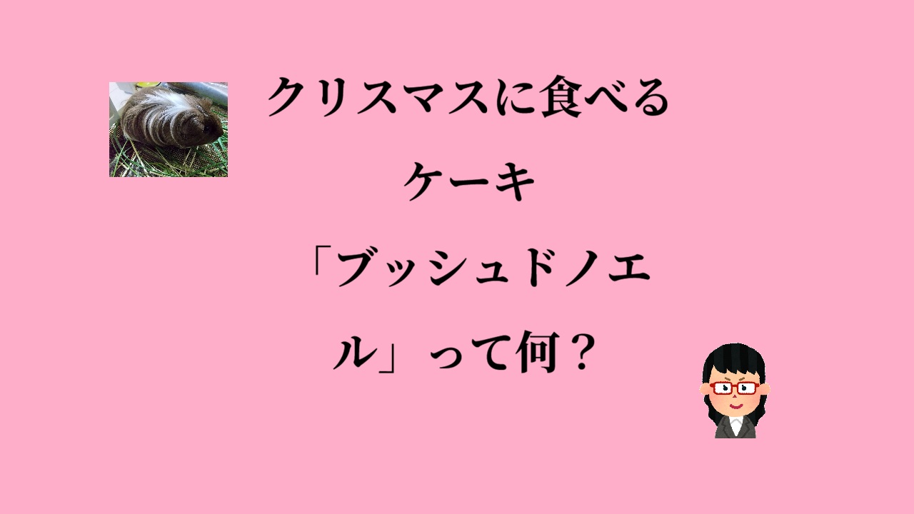 クリスマスに食べるケーキ「ブッシュドノエル」って何？