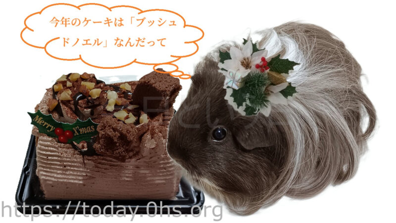 ブッシュドノエル